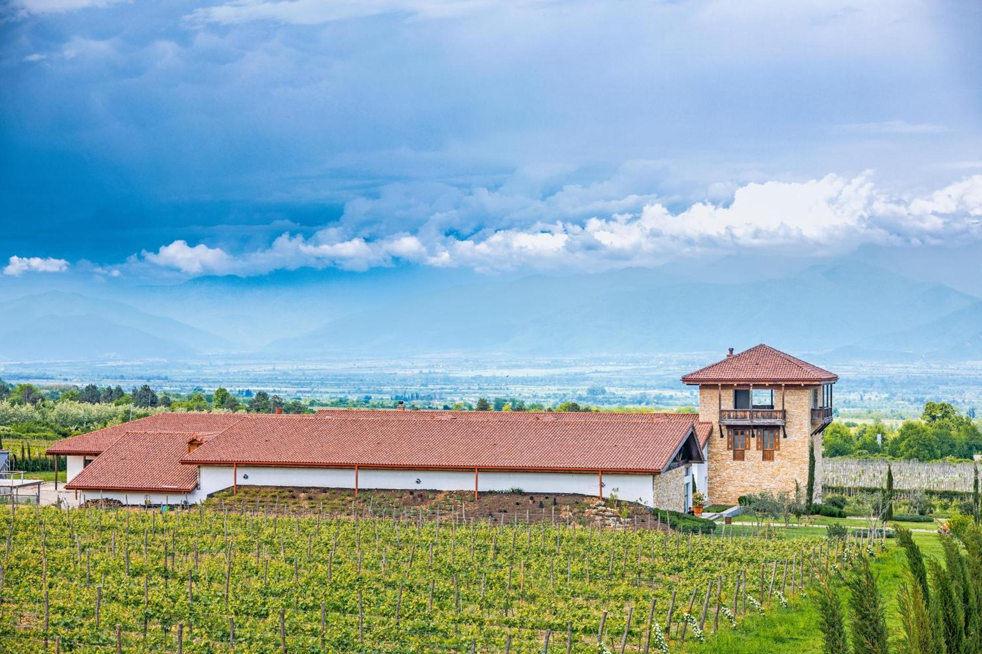 Chateau Mosmieri Hotel & Winery Telavi Dış mekan fotoğraf