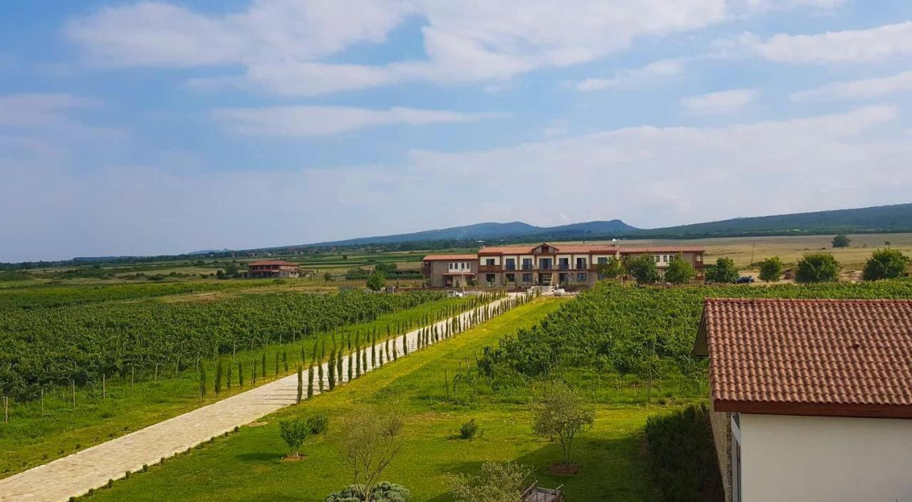 Chateau Mosmieri Hotel & Winery Telavi Dış mekan fotoğraf